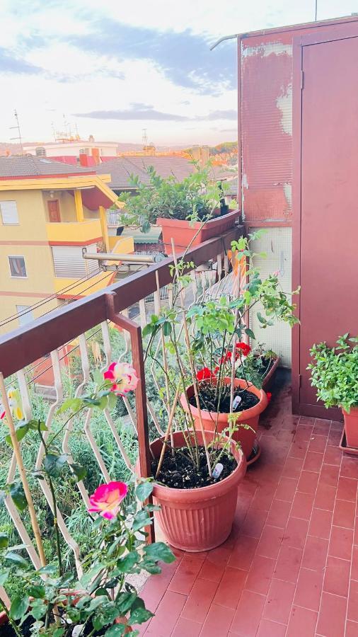Oasi Di Serenita Marino Exterior foto