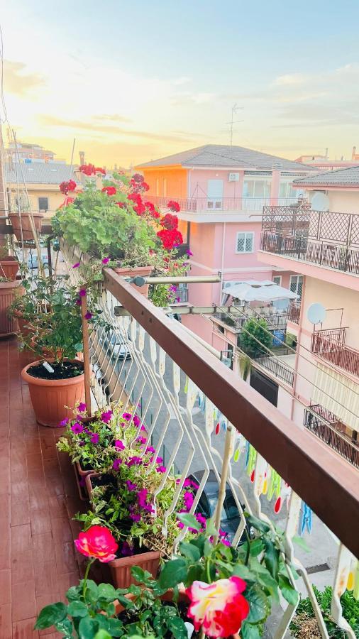 Oasi Di Serenita Marino Exterior foto